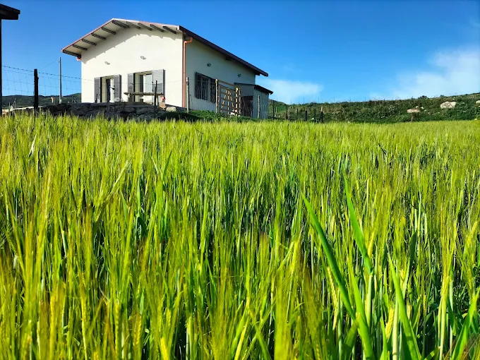 Immagine di copertina dell'annuncio