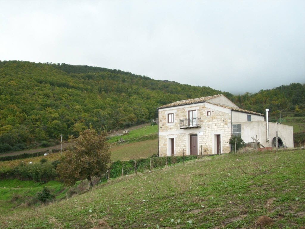 Immagine di copertina dell'annuncio