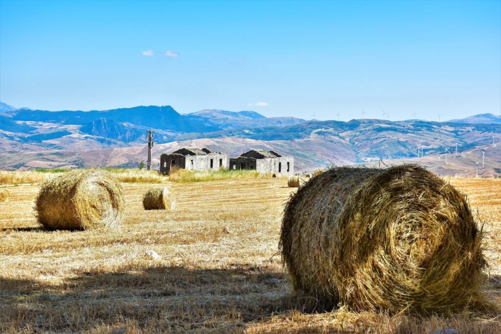 Immagine di copertina dell'annuncio