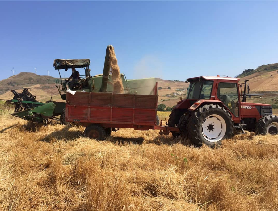 Immagine di copertina dell'annuncio