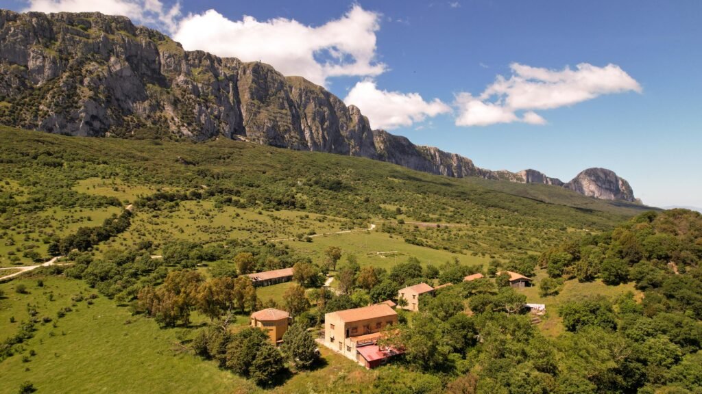 Immagine di copertina dell'annuncio