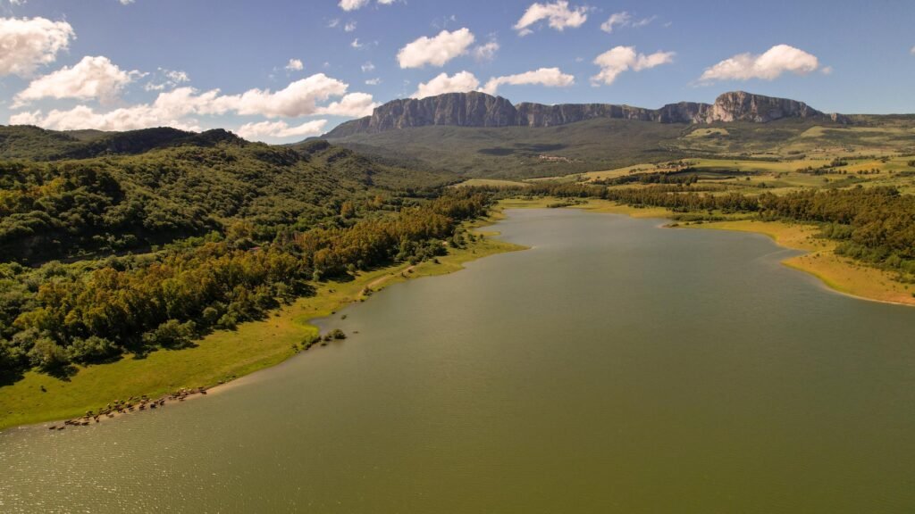 Immagine di copertina dell'annuncio