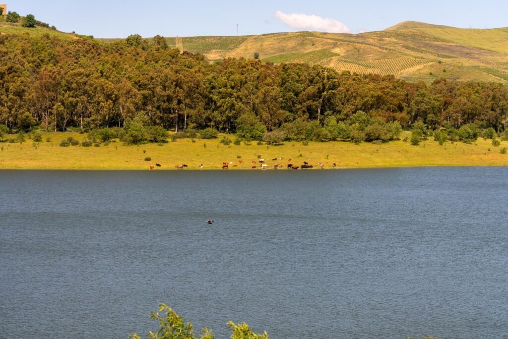 VISIT MEZZOJUSO – LAGO SCANZANO – FOTO – DSC05096