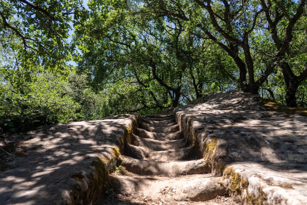 Immagine di copertina dell'annuncio