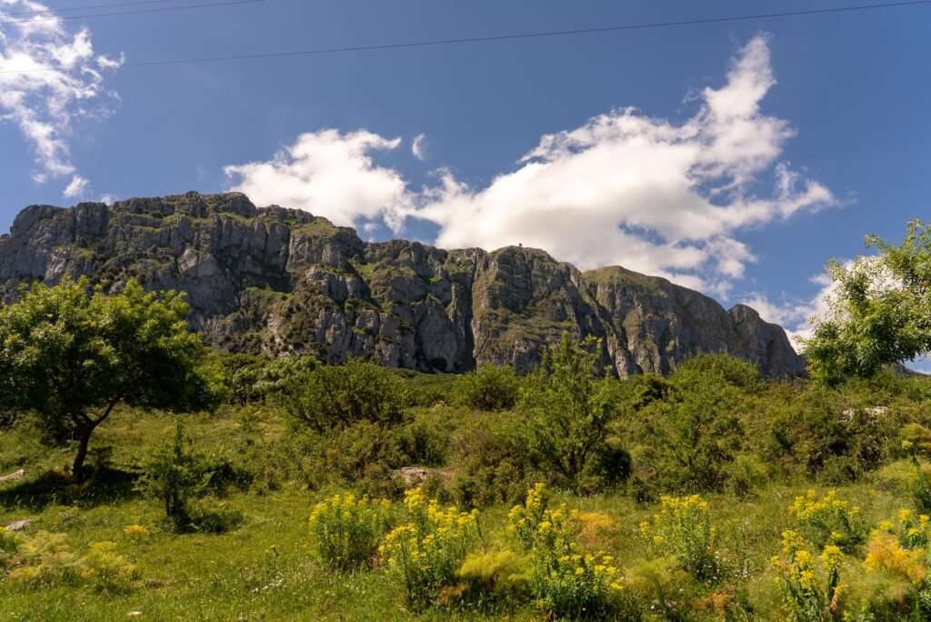 Immagine di copertina dell'annuncio